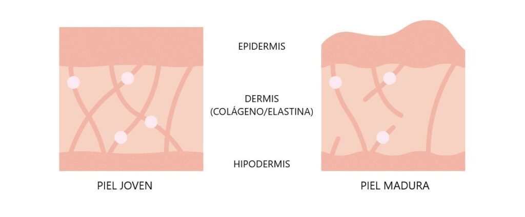 REJUVENECIMIENTO FACIAL