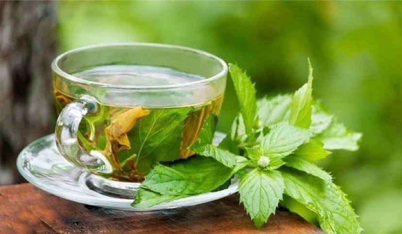 Green tea in transparent cup
