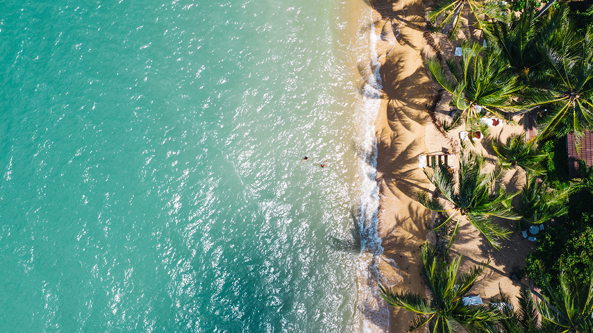 Aerial photo of a tropical beach